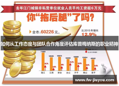 如何从工作态度与团队合作角度评估库普梅纳斯的职业精神